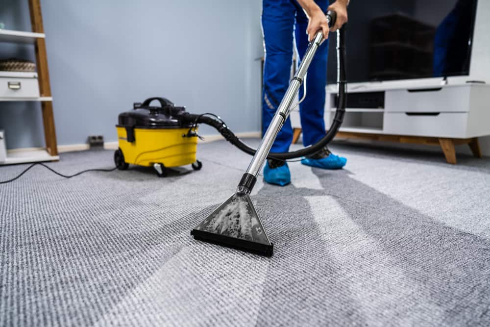 Carpet & Floor Care
